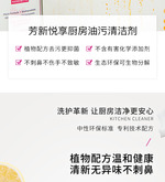 芳新生态环保厨房油污清洁剂